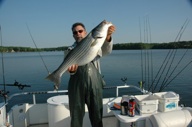 Trophy striper in April Trophy striper in April